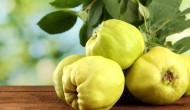 Quince – How to Use This A Powerful Fruit and Natural Remedy Quince – How to Use This A Powerful Fruit and Natural Remedy
