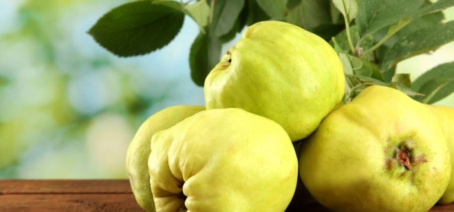 Quince