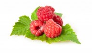 Unlock the Secrets – Learn How to Prepare Herbal Remedies Unlock the Secrets – Learn How to Prepare Herbal Remedies