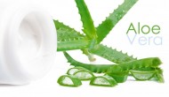 Is Aloe Vera Really Such a Powerful Plant?