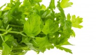 Interesting Facts about Celery – Learn its Benefits and Usage Interesting Facts about Celery – Learn its Benefits and Usage