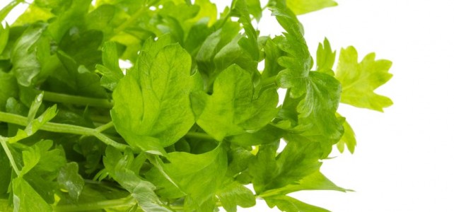 celery