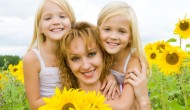 Sunflower – The Truth about Its Health Benefits Sunflower – The Truth about Its Health Benefits