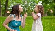 Dandelion – Garden Weed or Powerful Remedy?