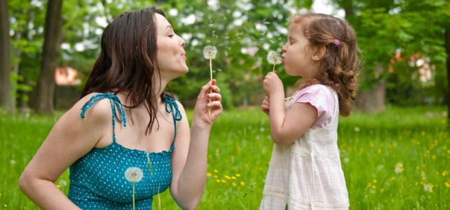 dandelions