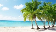 Coconut And Its Secrets – Part II